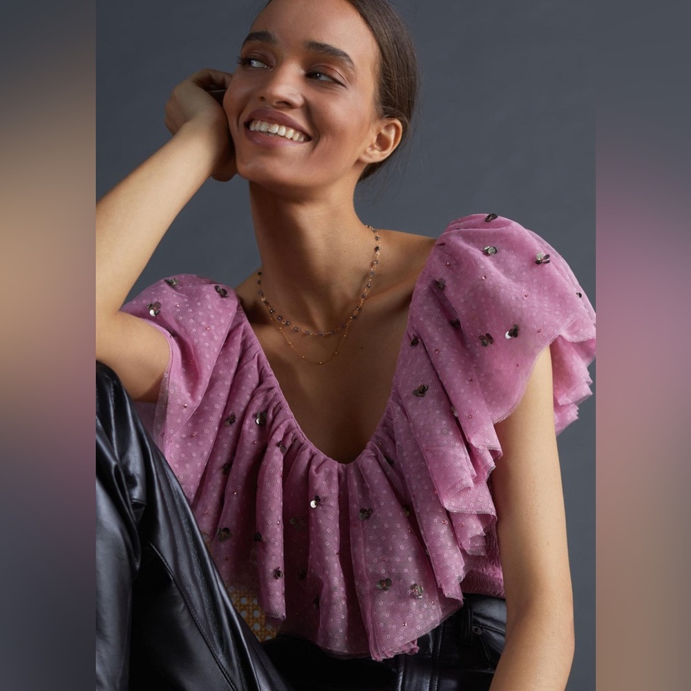 NWOT Anthropologie Maeve Ruffled Tulle Blouse
